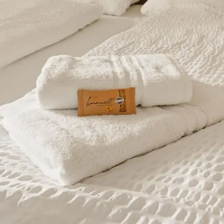 Lebzelter Strasswalchen, Familien Und Business Aufenthalt, Seengebiet, Erlebnispark Hotel